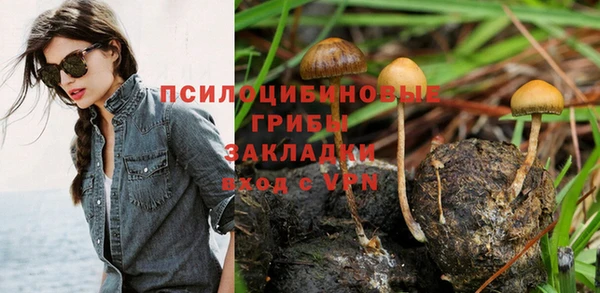 ALPHA PVP Алексеевка