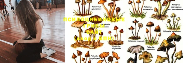 мет Алзамай