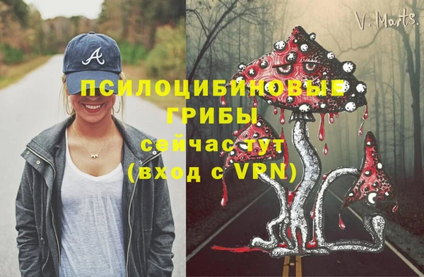 ALPHA PVP Алексеевка