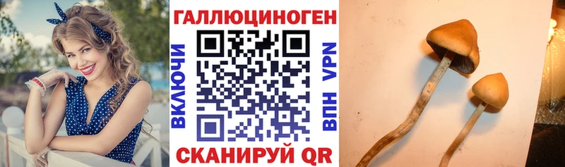 omg рабочий сайт  Петровск  Галлюциногенные грибы мицелий 