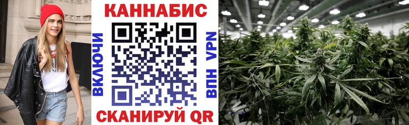 наркота  Петровск  Бошки Шишки Amnesia 